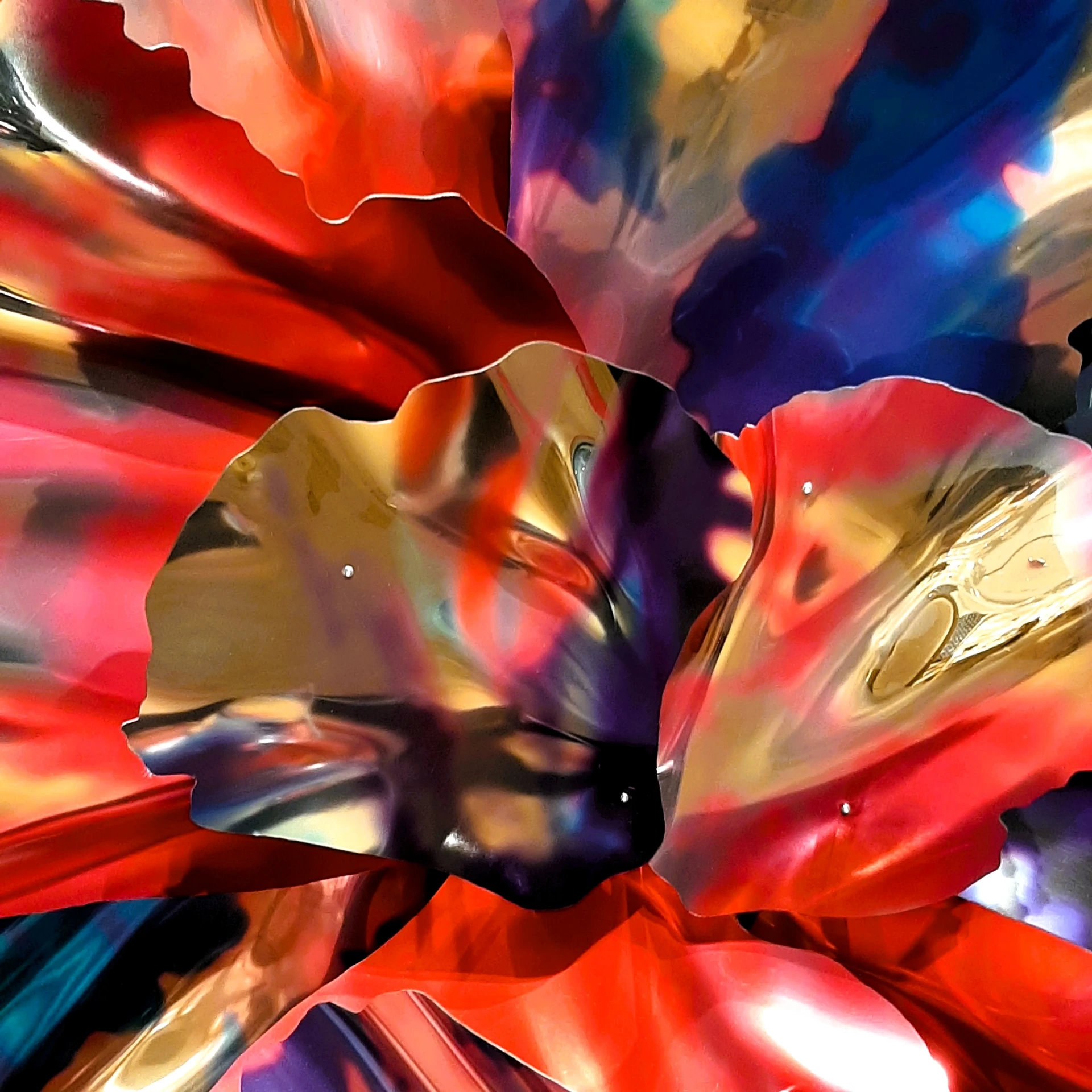 Lillys I. (30x30, Keret + Paszpartúra)