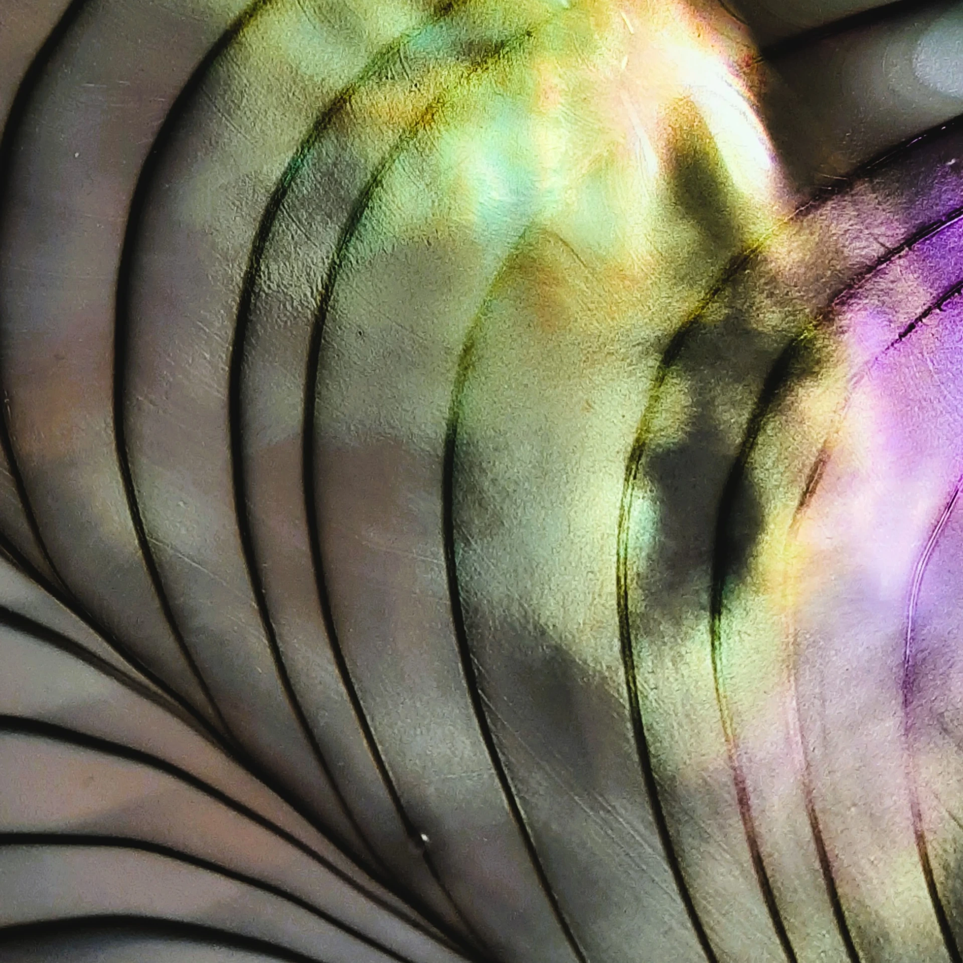 Feather (30x30, Keret + Paszpartúra)