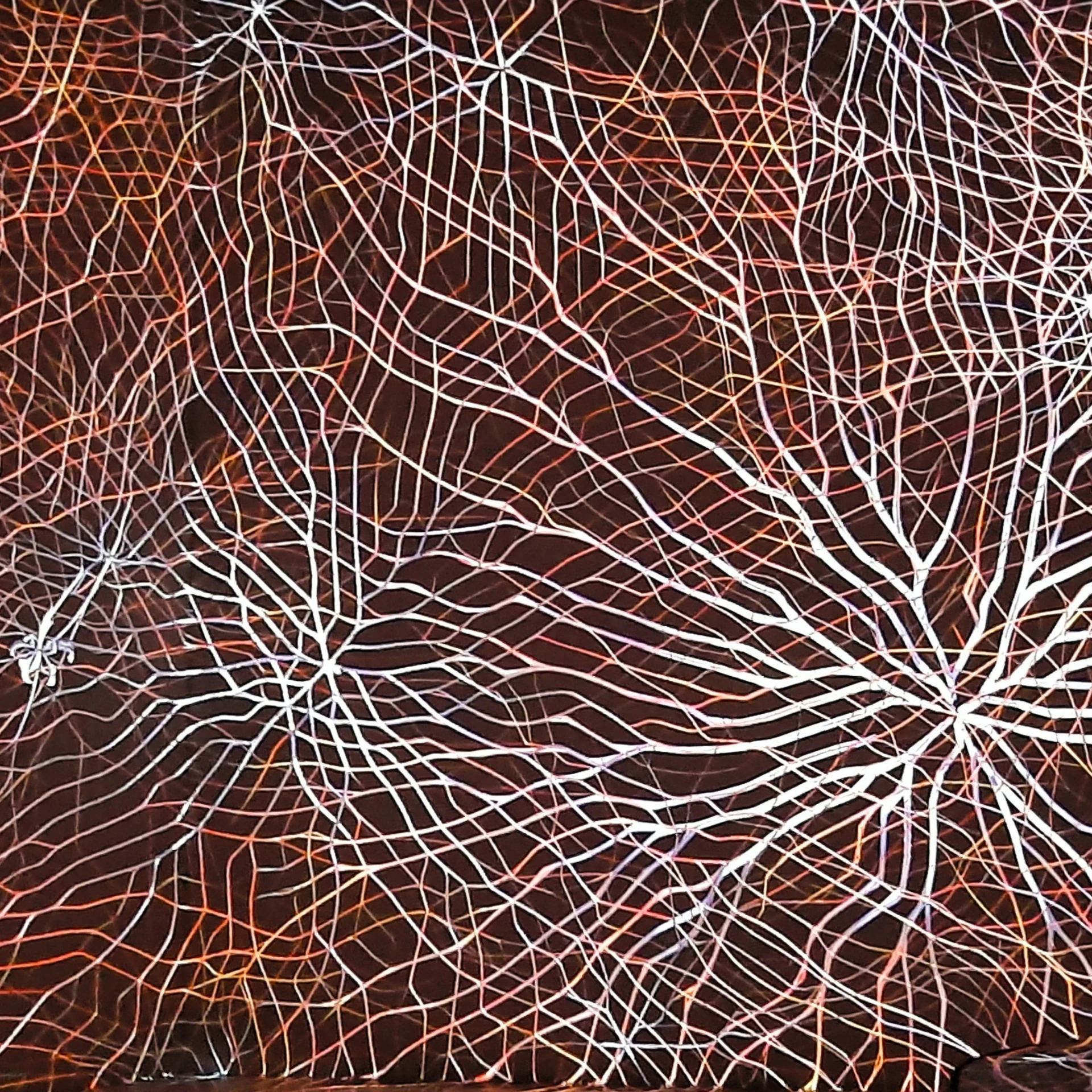 Neuro (30x30, Keret + Paszpartúra)