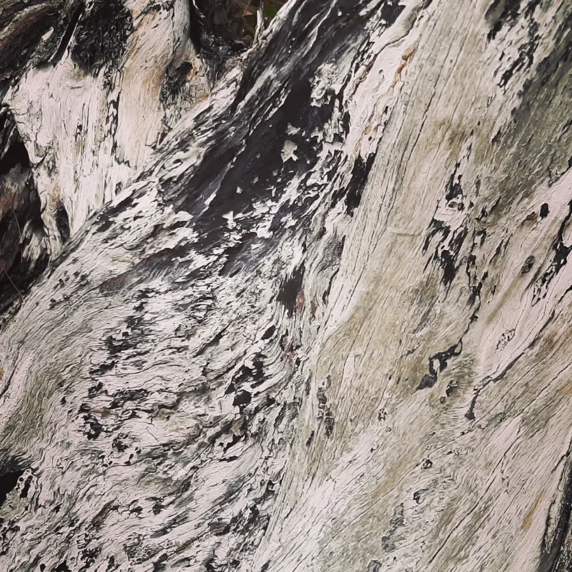 Oil Colour II. (30x30, Keret + Paszpartúra)