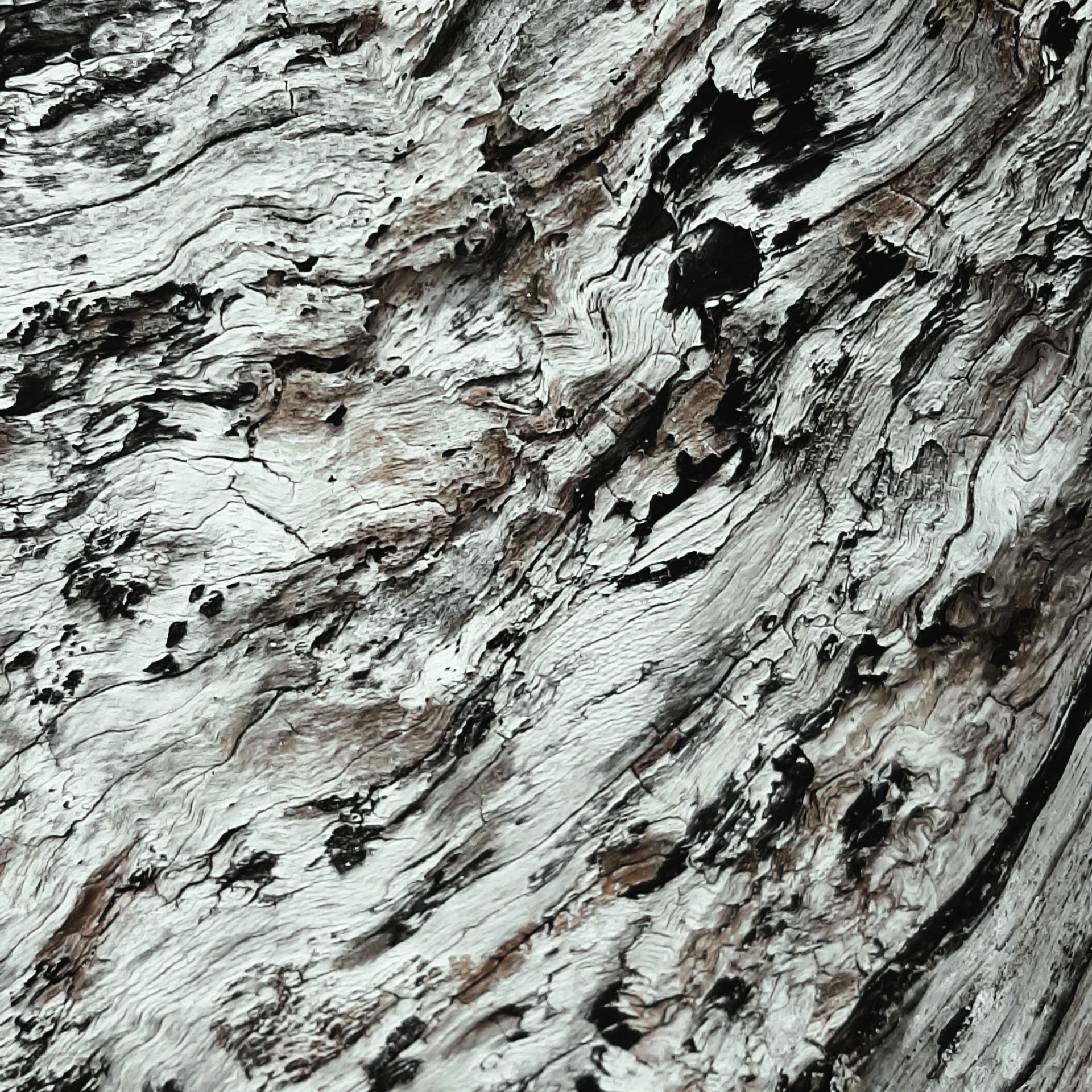 Oil Colour III.